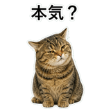 852718801