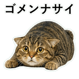 852718806