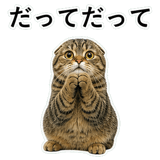 852718807