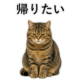 852718817