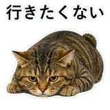 852718818