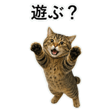 852718825