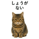 852718829