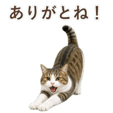 852718873