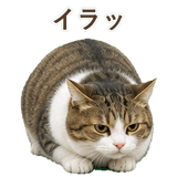 852718874