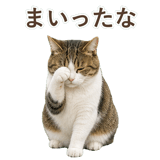 852718875