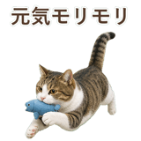 852718876