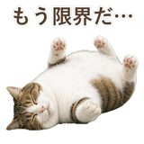 852718877