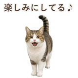 852718879