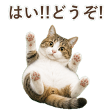 852718885