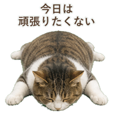 852718886