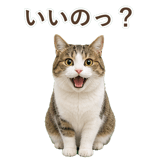 852718887