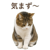 852718888