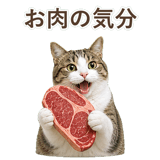 852718893