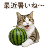852718894