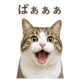 852718898
