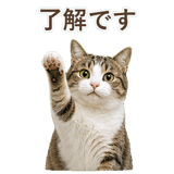 852718899