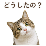 852718902