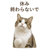 852718905