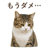 852718908