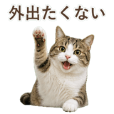 852718911