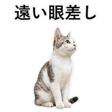 852718916