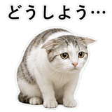 852718919