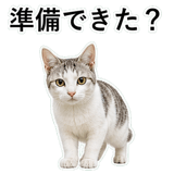 852718924