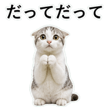 852718927