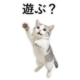 852718945