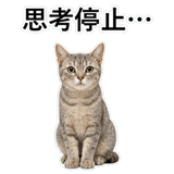 852718954
