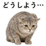 852718959