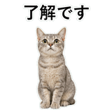 852718962