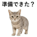 852718964