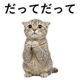 852718967