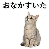 852718975