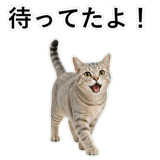 852718976