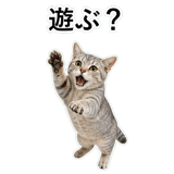 852718985