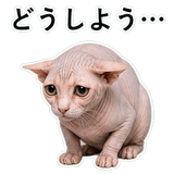 852718999