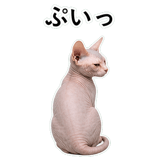 852719000