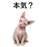 852719001