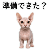 852719004