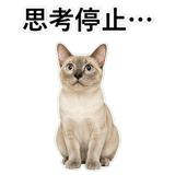 852719114