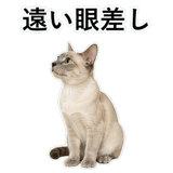 852719116