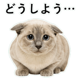 852719119