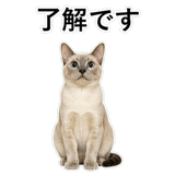 852719122