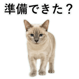 852719124