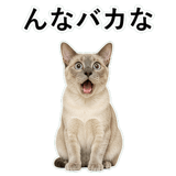852719131