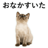 852719135