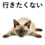 852719138